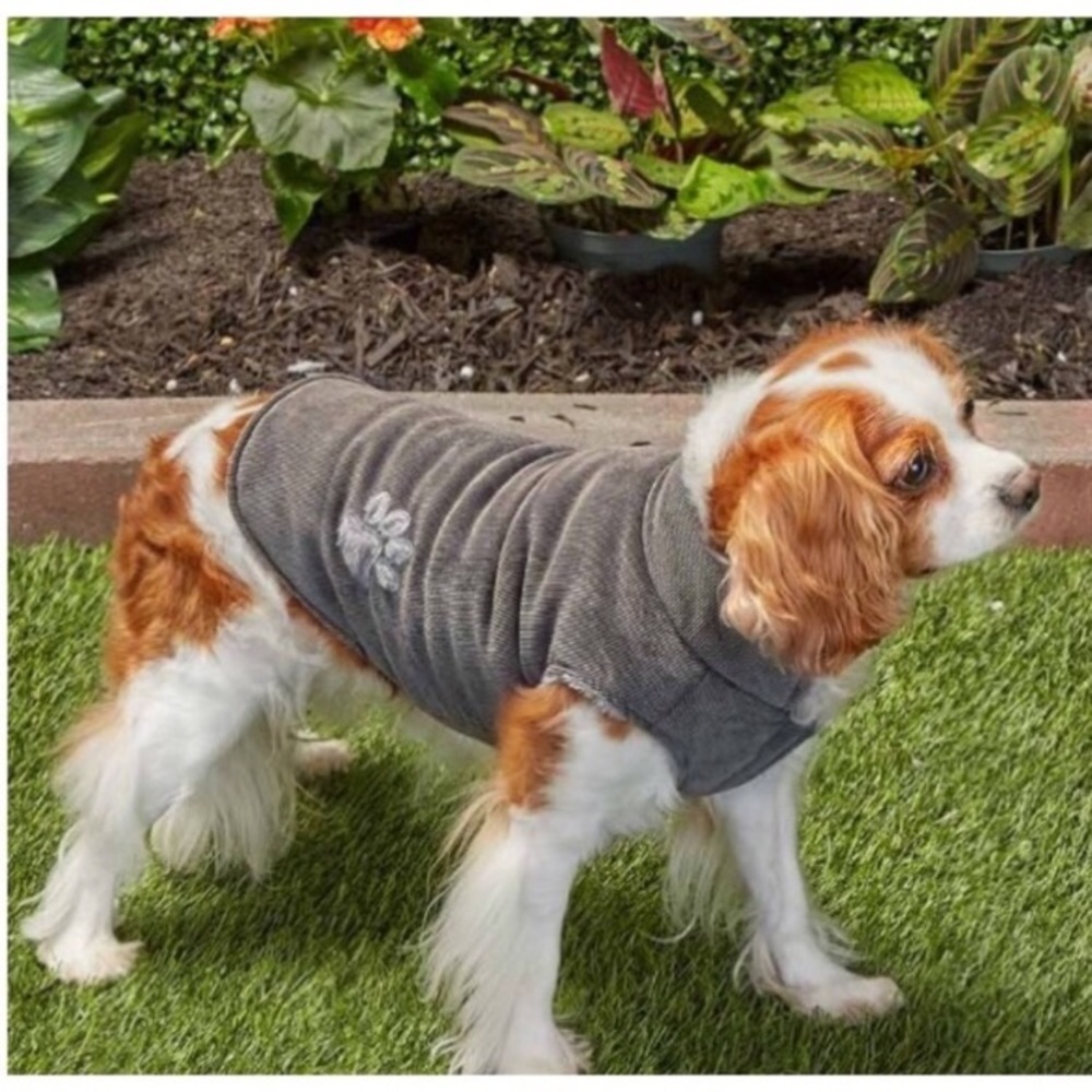 DOG JACKET CORDUROY SHERPA LIKE LINING!